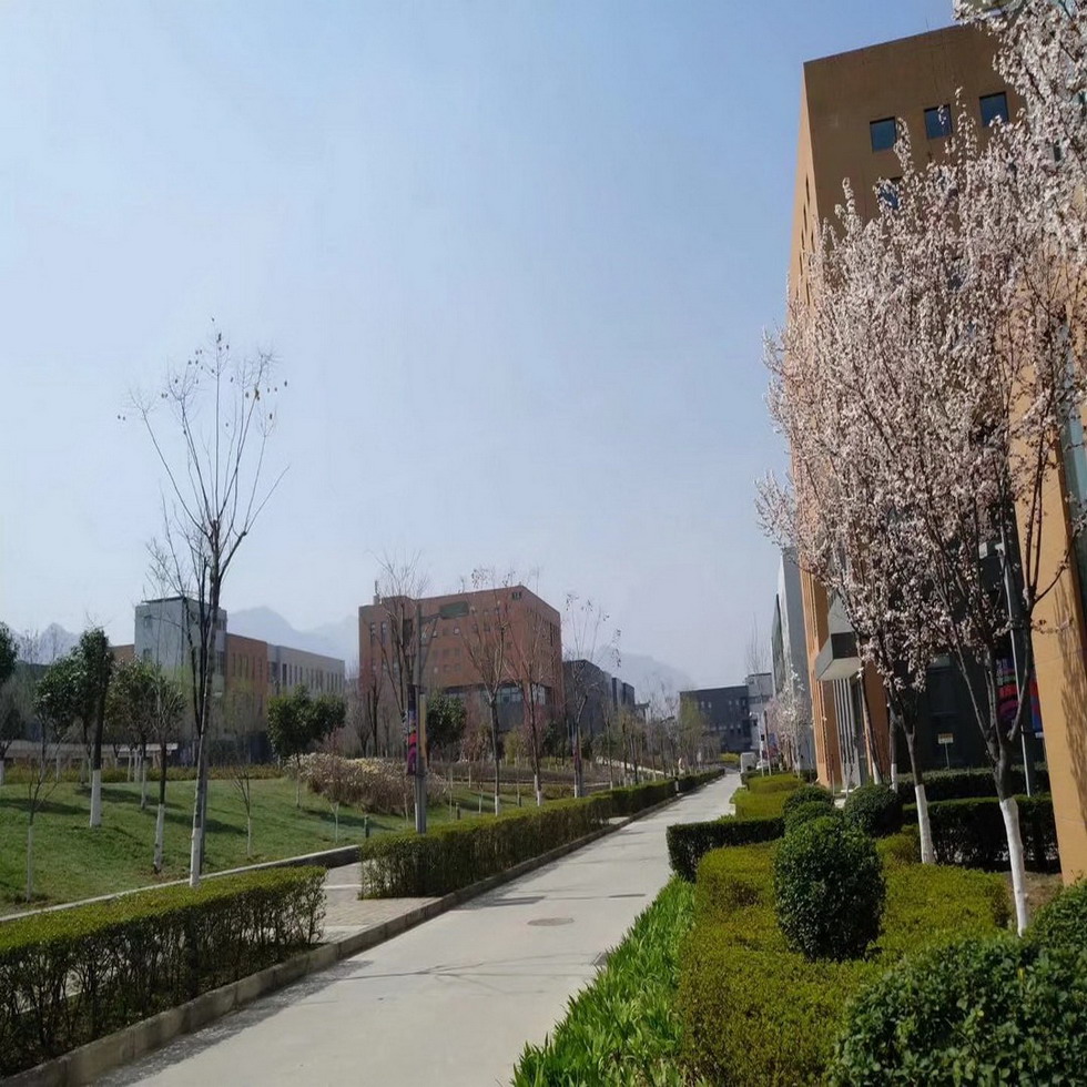 企業概況